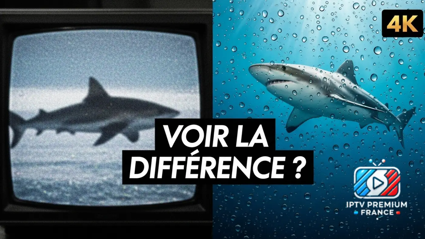 IPTV Premium France 2026 Abonnement IPTV 4K